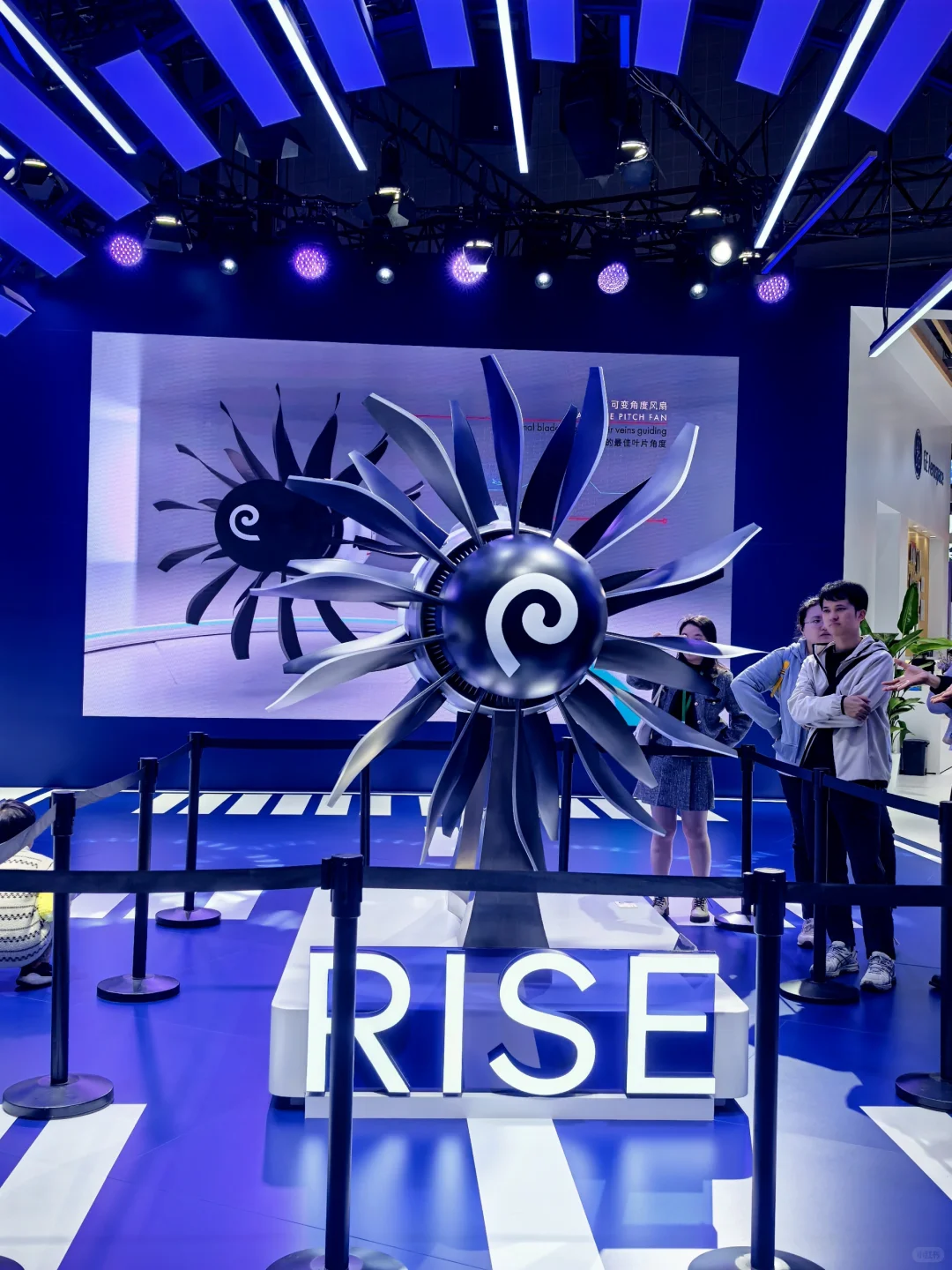 进博会 走断腿的一天