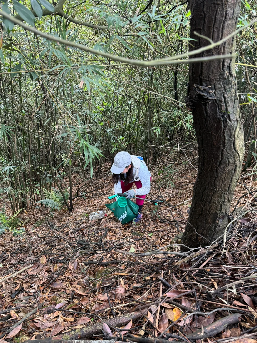 如果这个周末 你也进山