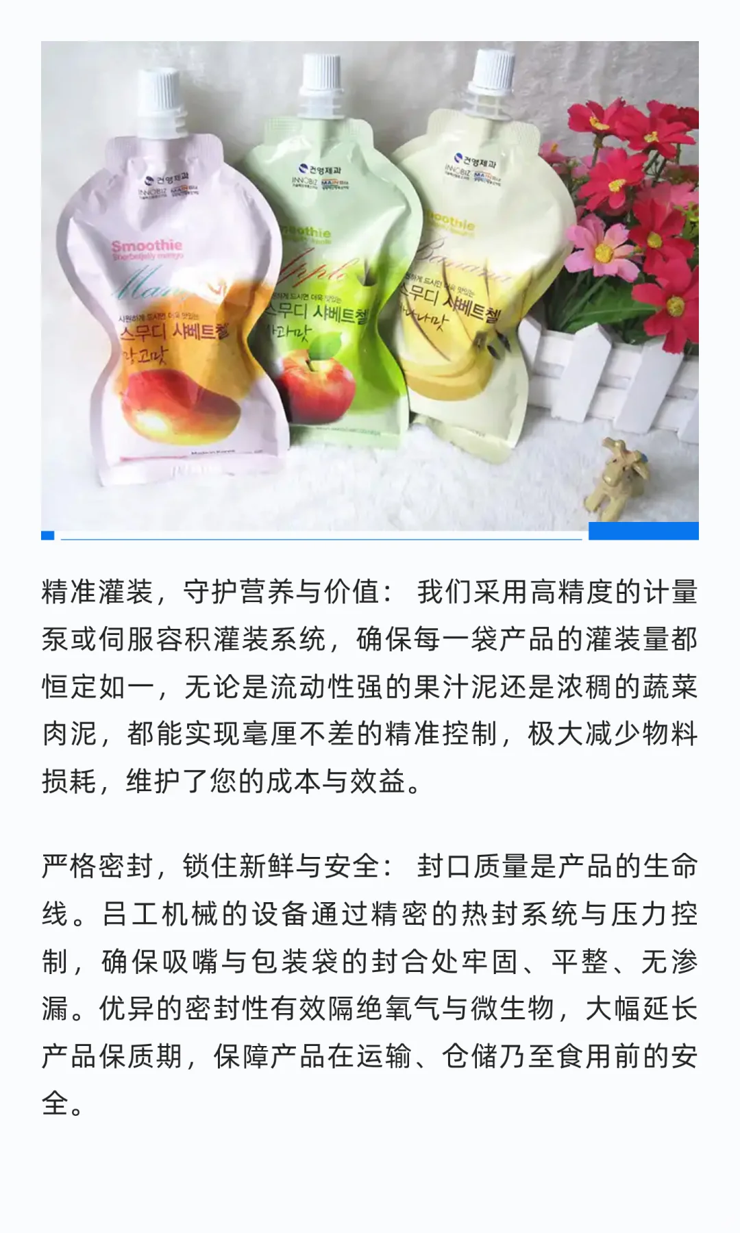 专注·精准·可靠：蔬菜果泥灌装生产线定制