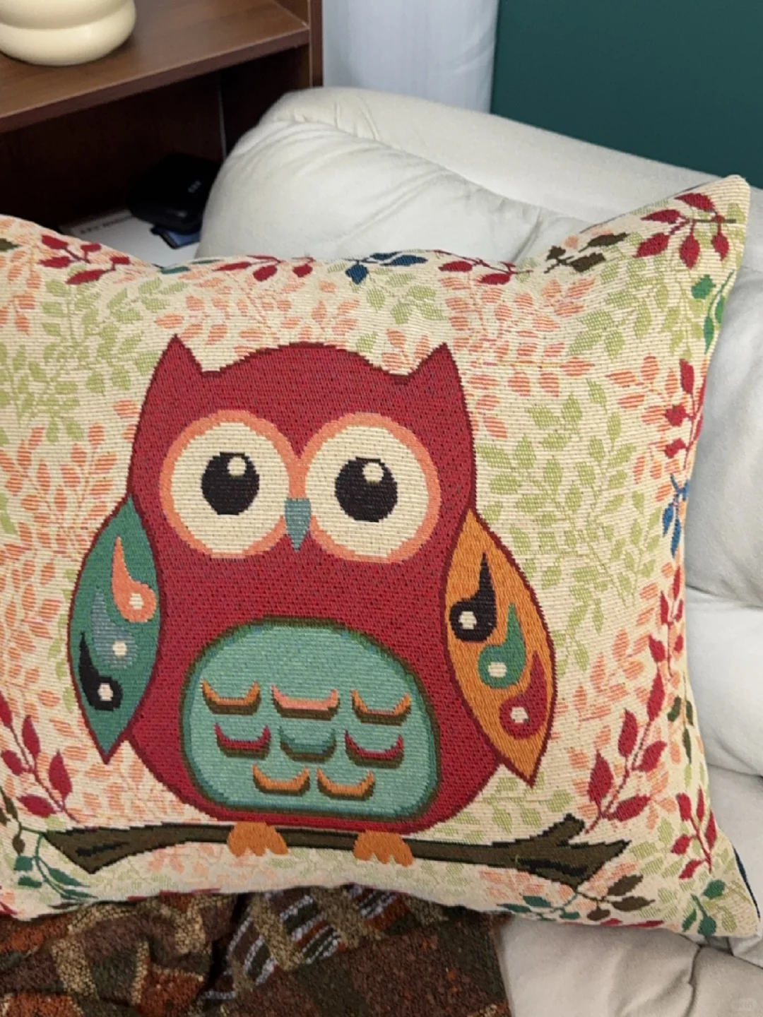 这个抱枕好好看呀！