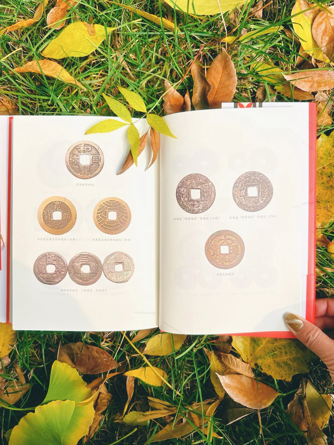 ?三千年货币史,读这本就够了❗️