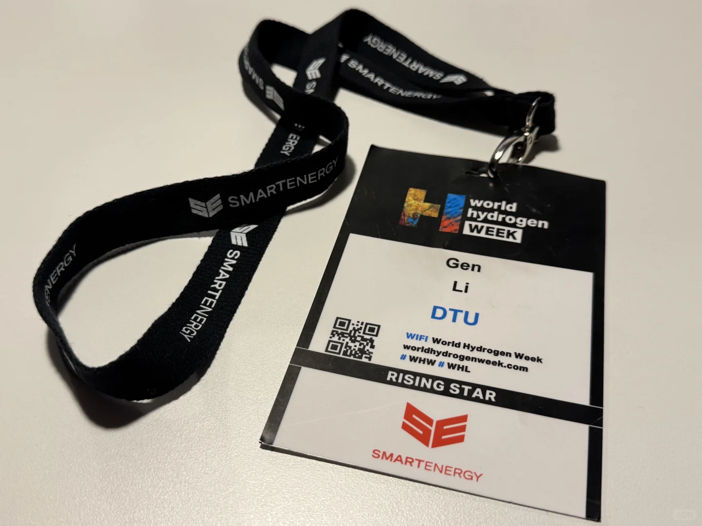 在世界氢能大会上讲电气