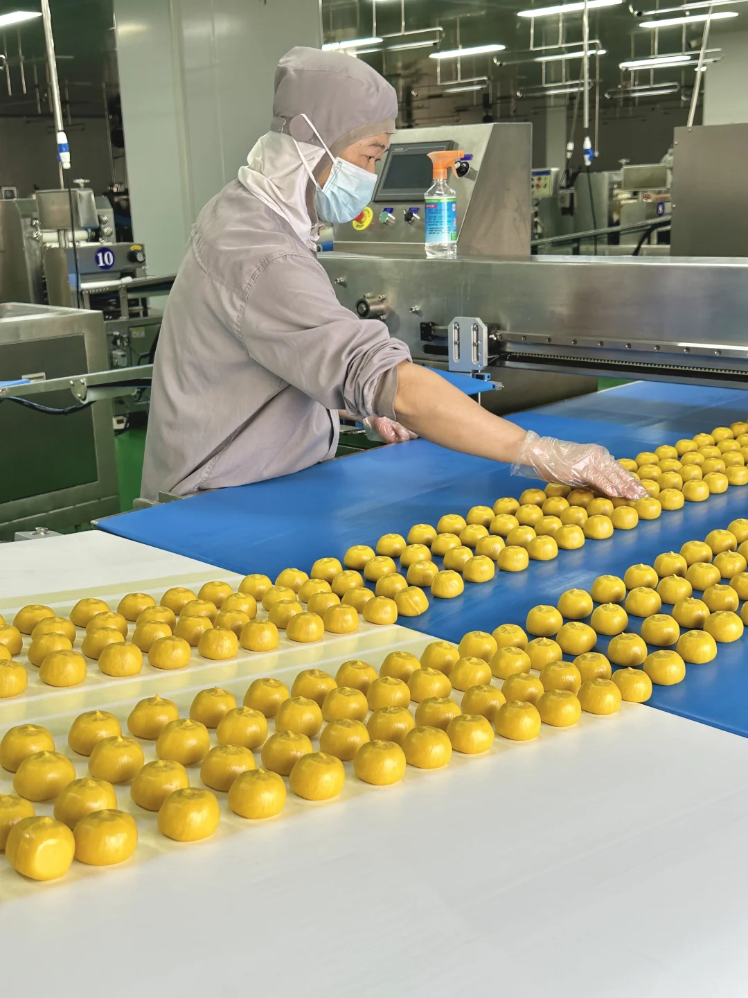 在盒马工厂找到了i人理想工作