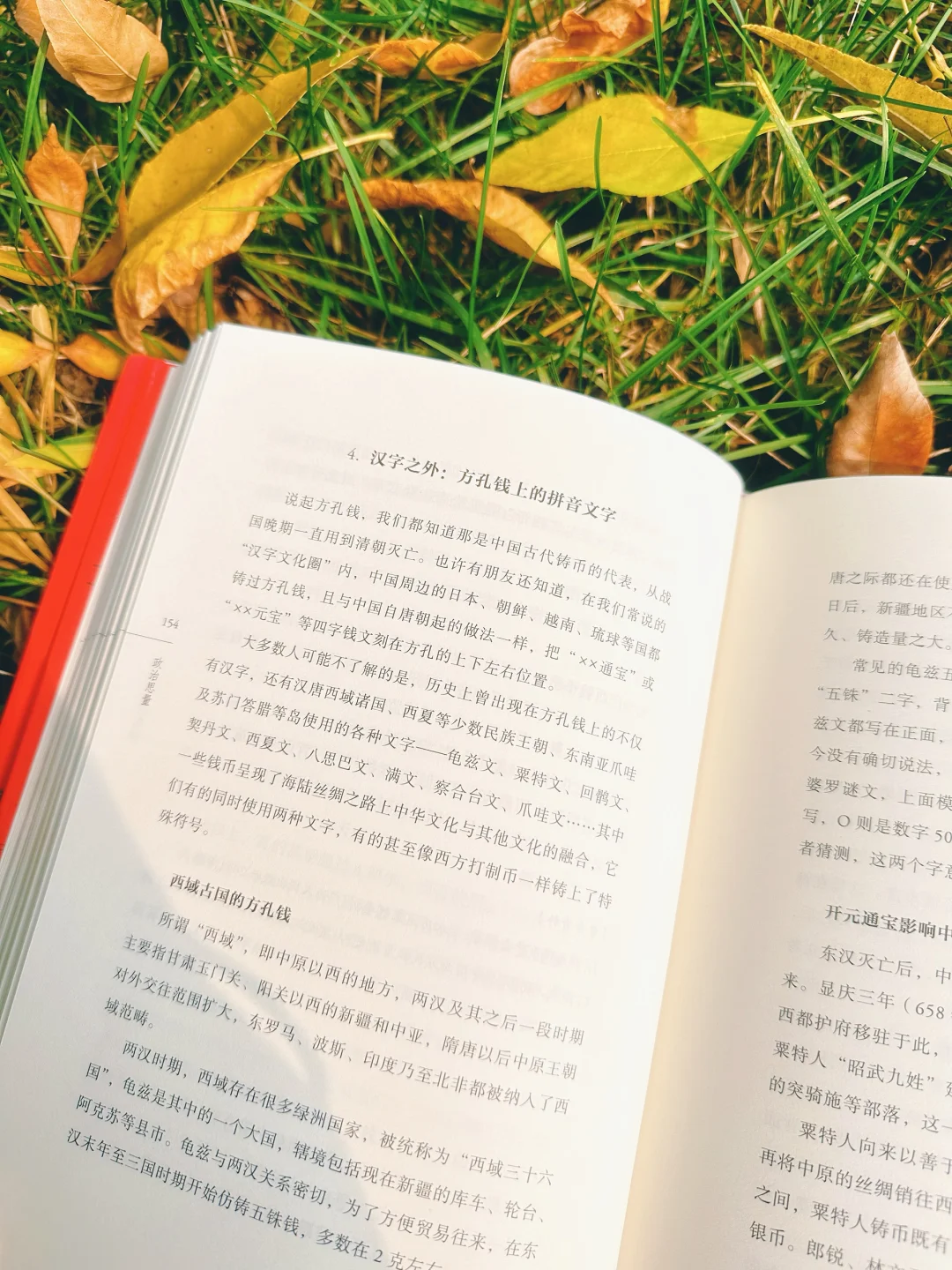 ?三千年货币史,读这本就够了❗️