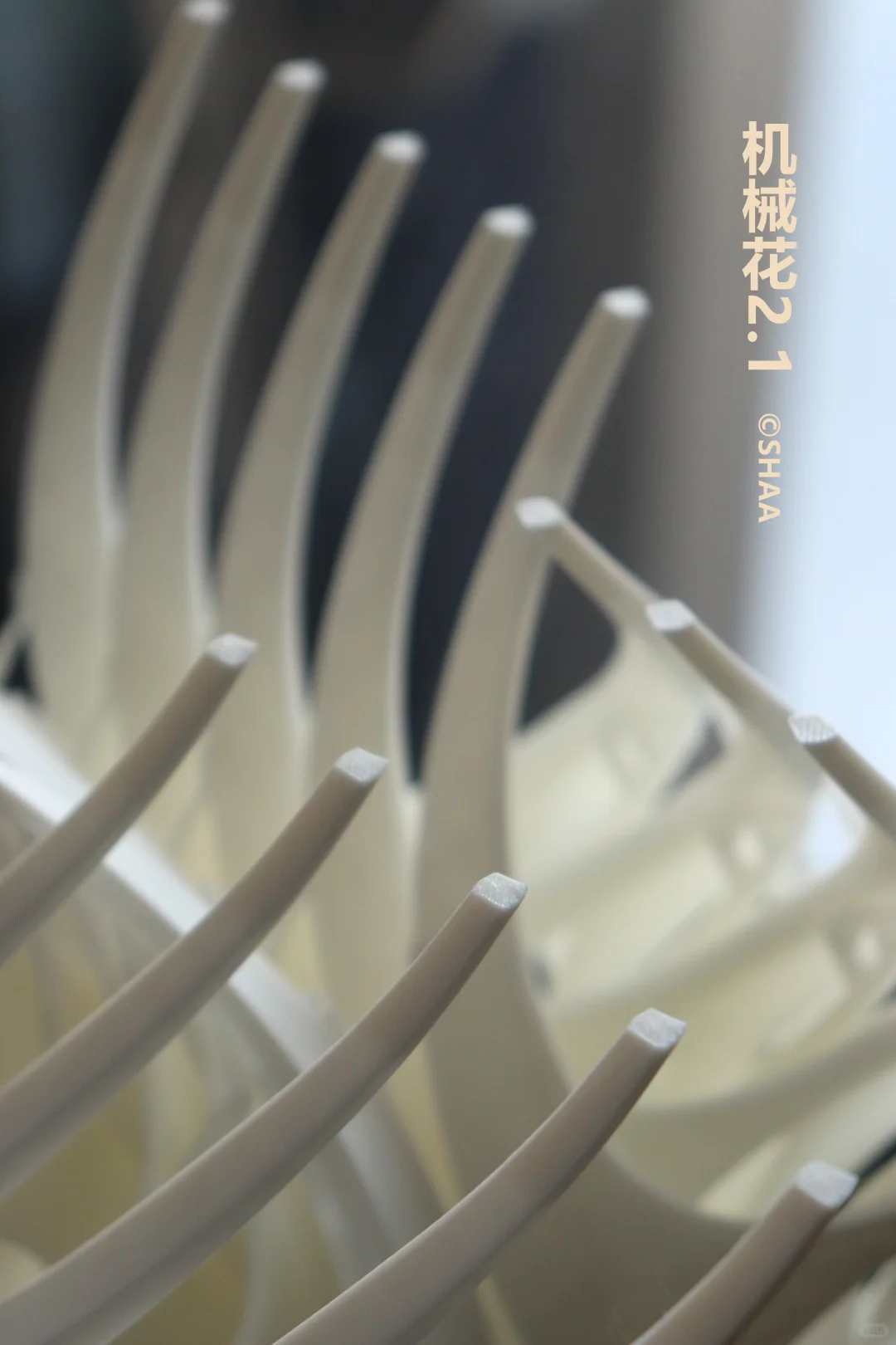 这打印出来简直就是艺术品