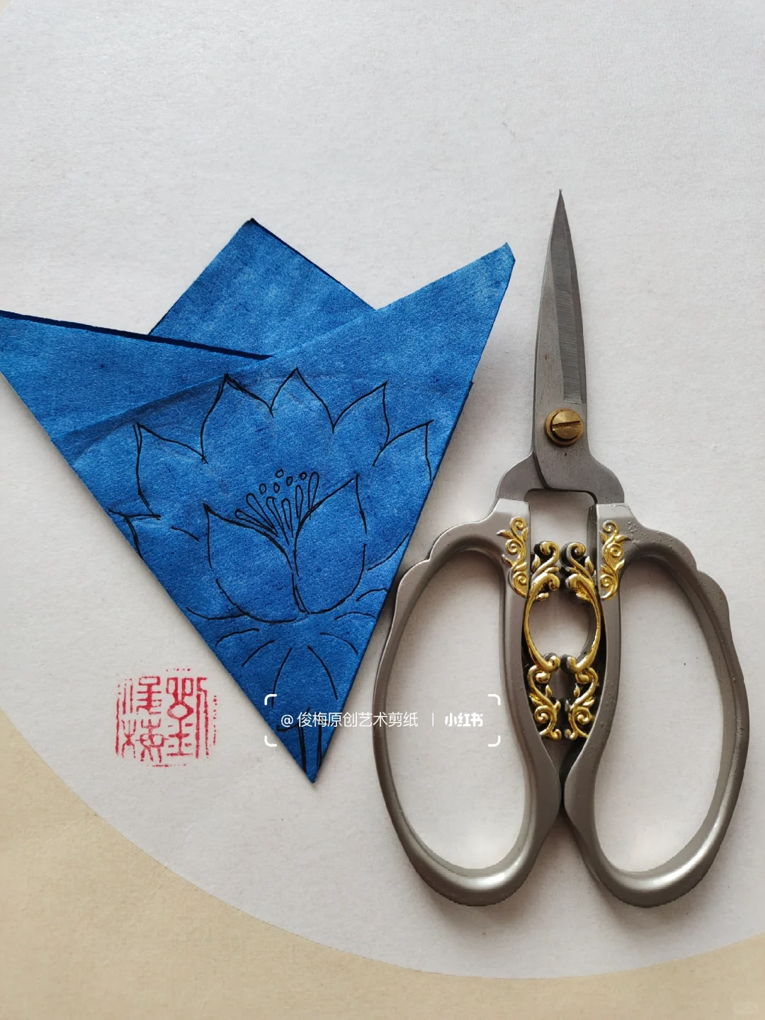 每日一剪｜夏之荷