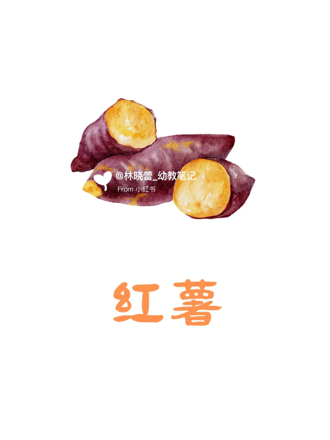 秋天农作物环创素材?打印