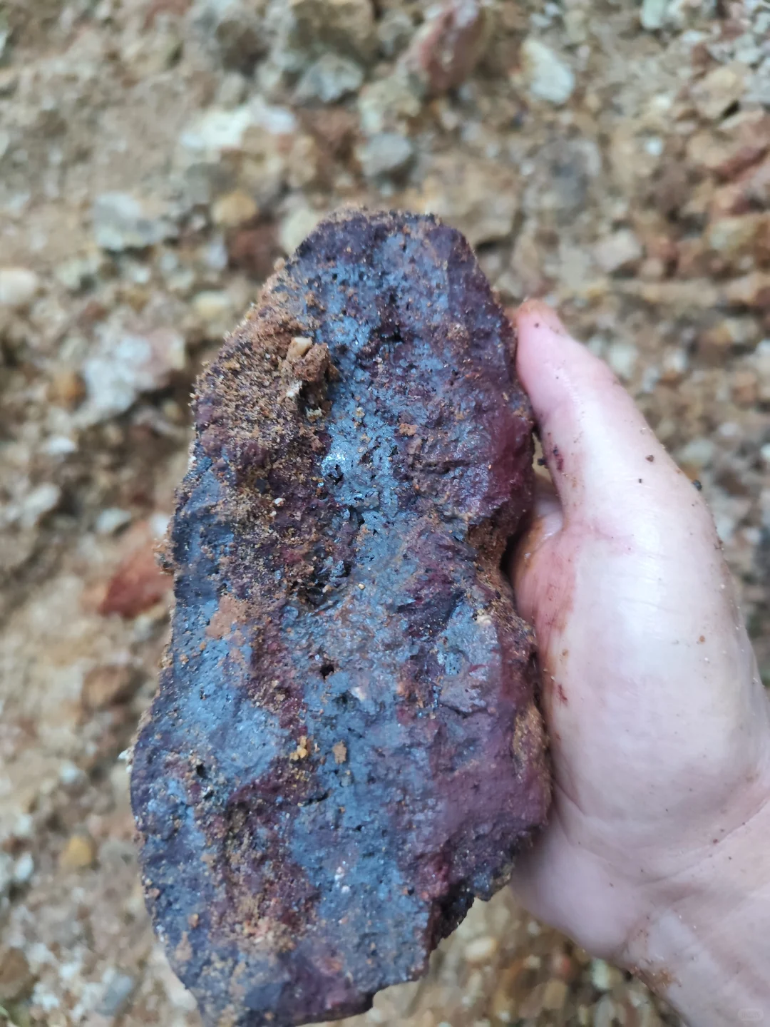 捡石头发现的疑似铁矿石的石头