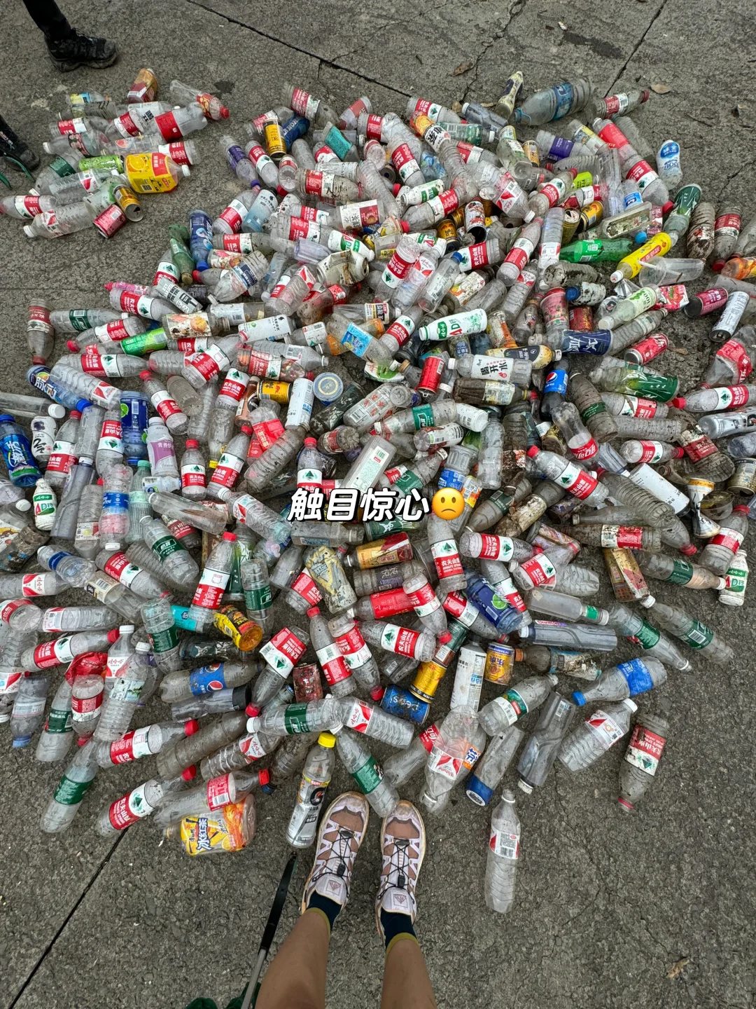 如果这个周末 你也进山