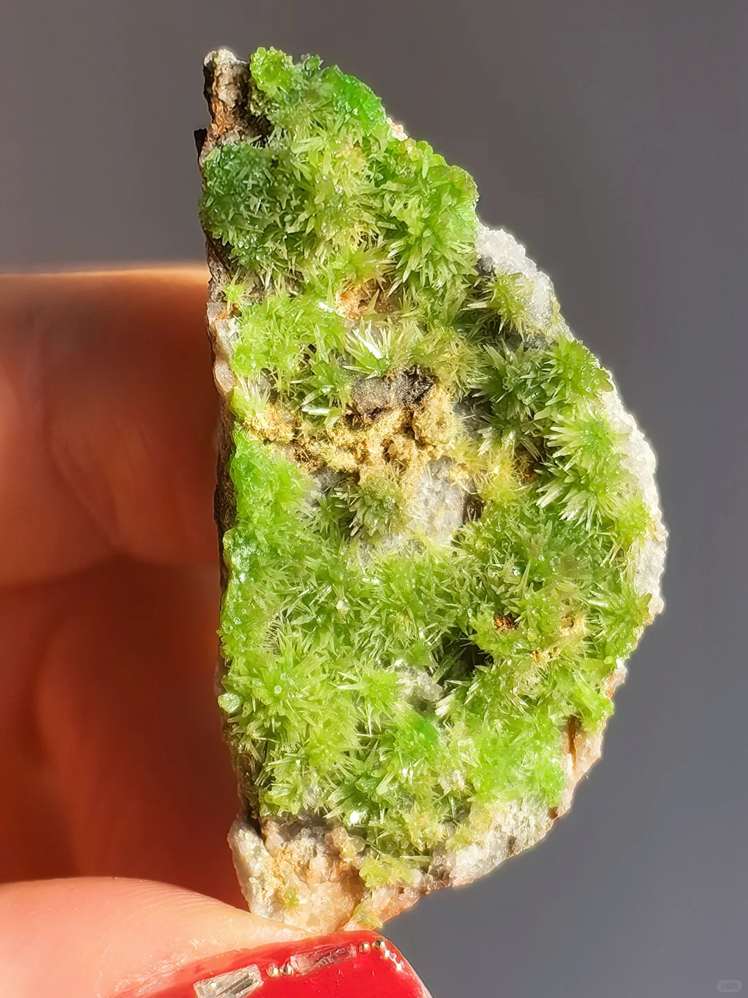 只需三个字，保你避坑