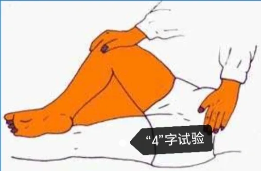 特殊检查相关试验