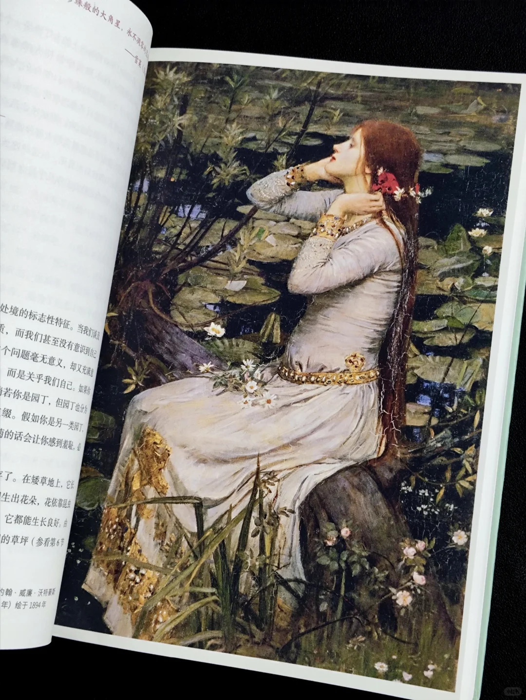 无言的陪伴:植物如何塑造人类文明❓