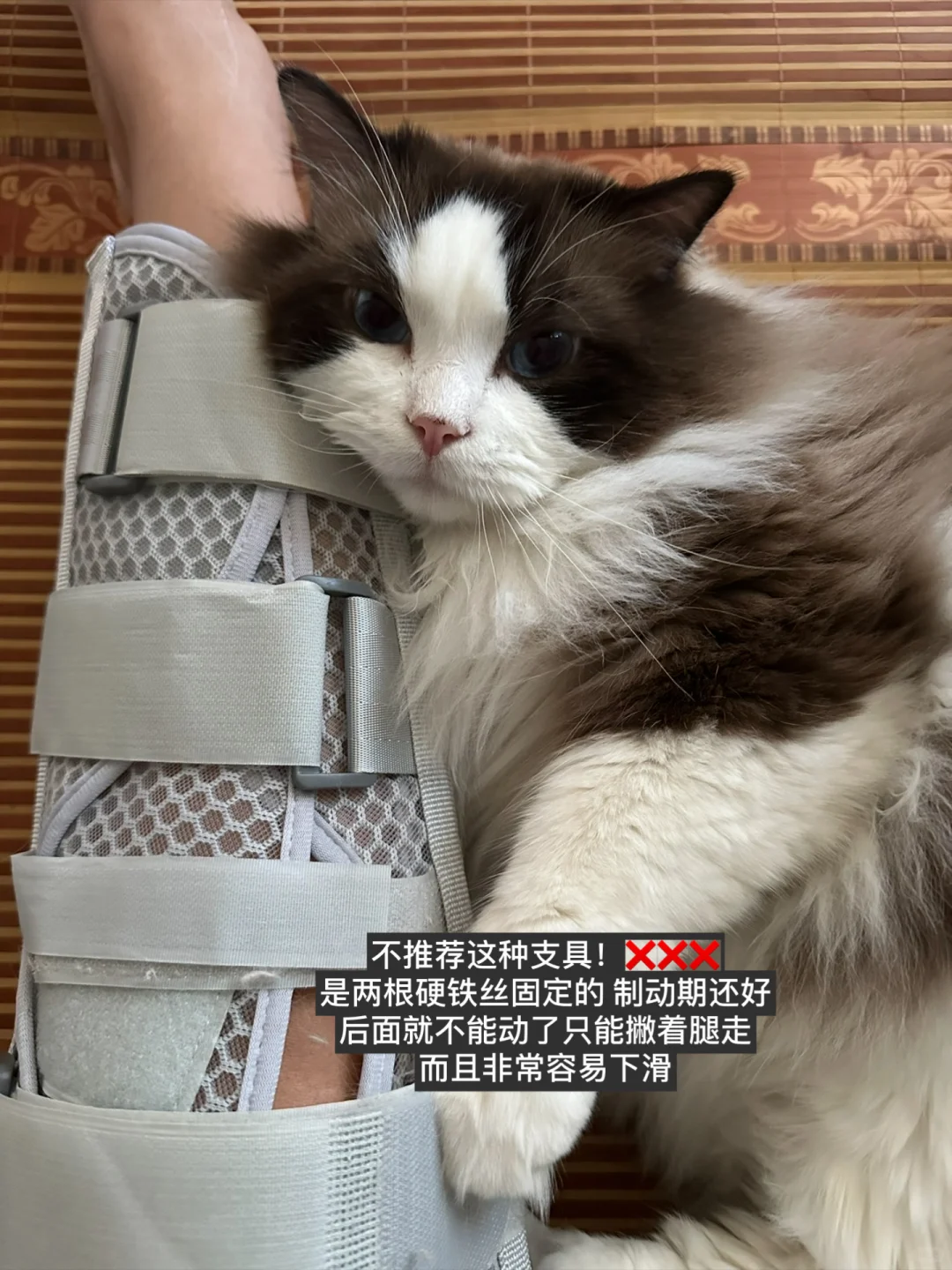 术后康复日记5: 分享运动人的康复装备?