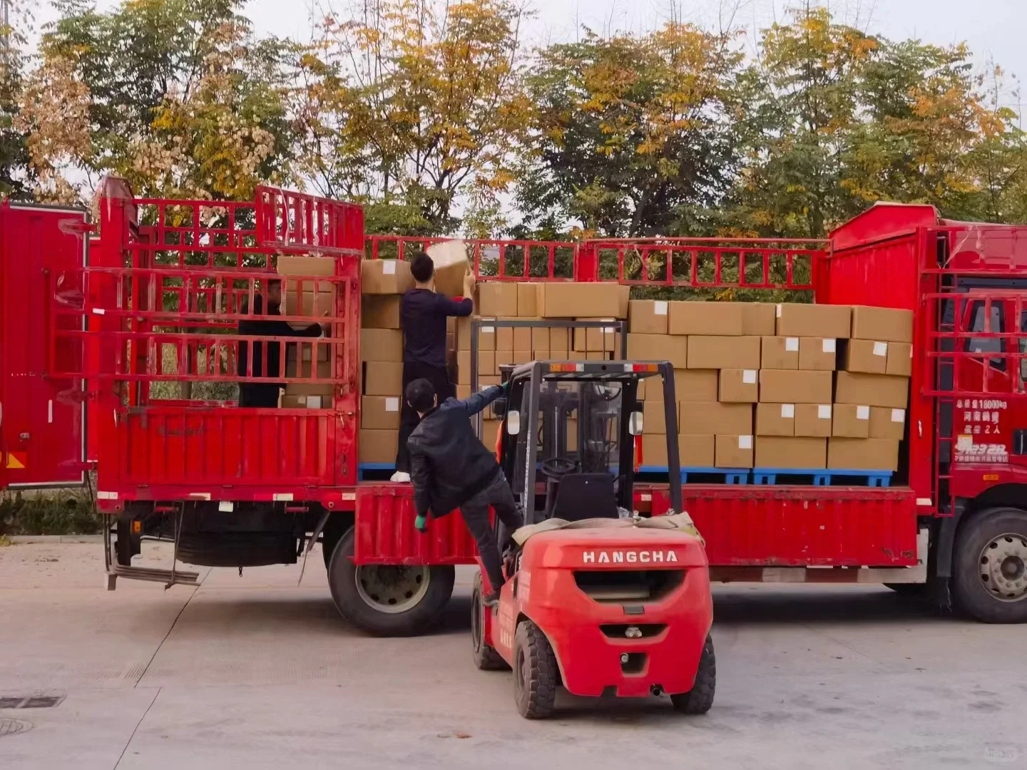 食品加工厂探秘?看图就明白了‼️