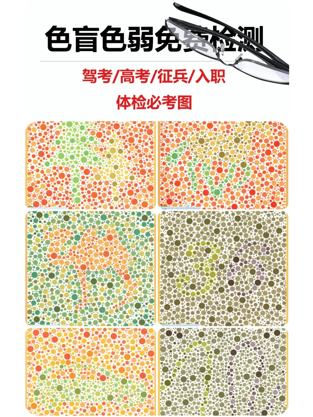 体检 色盲色弱检测
