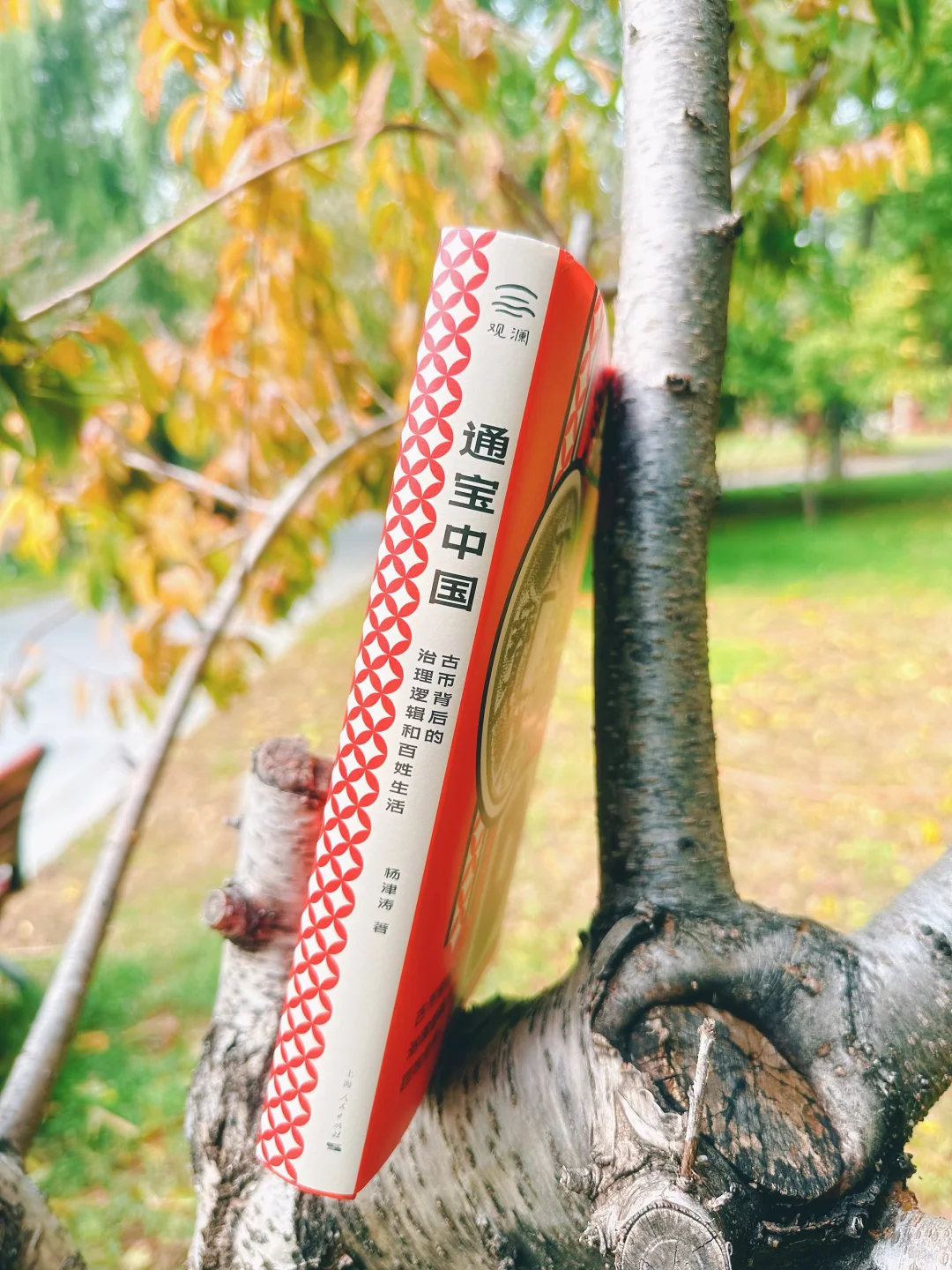 ?三千年货币史,读这本就够了❗️