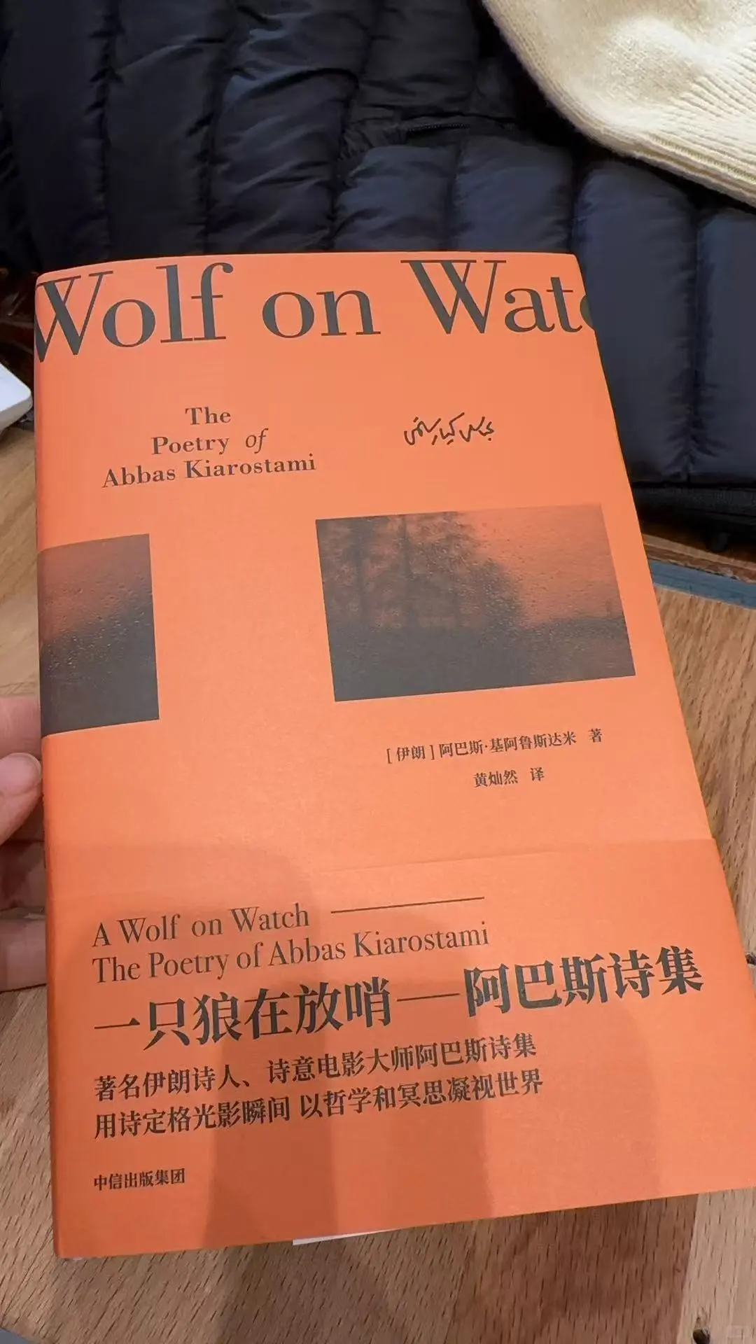 记者节点燃影像之灯!阿巴斯《特写》的温情