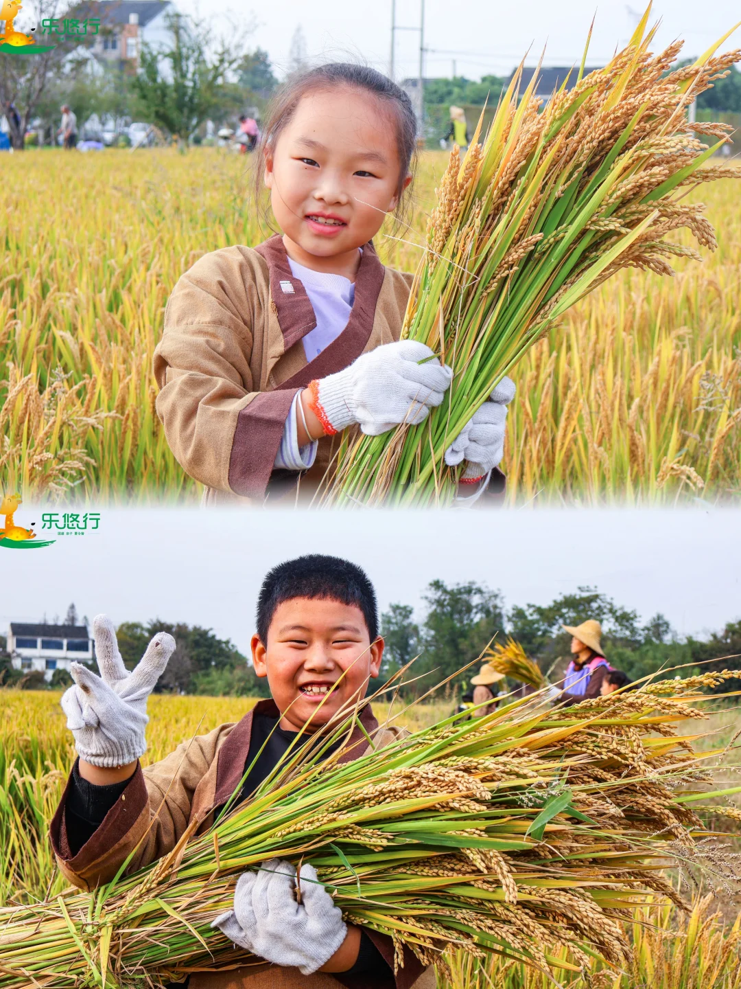 无锡亲子|课堂在田间、农耕研学