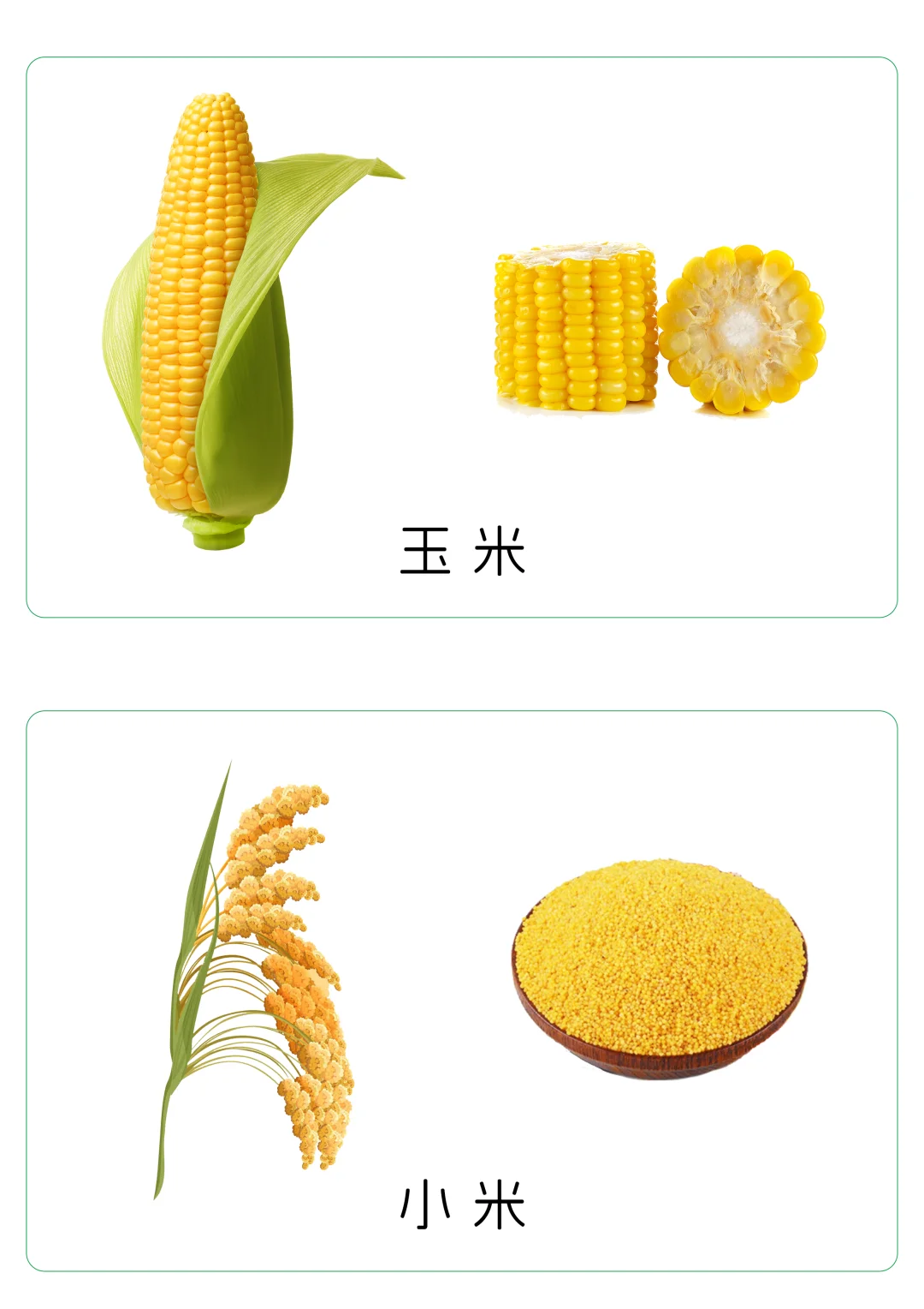 ?宝宝谷物认知卡片｜0-3岁食育启蒙✨