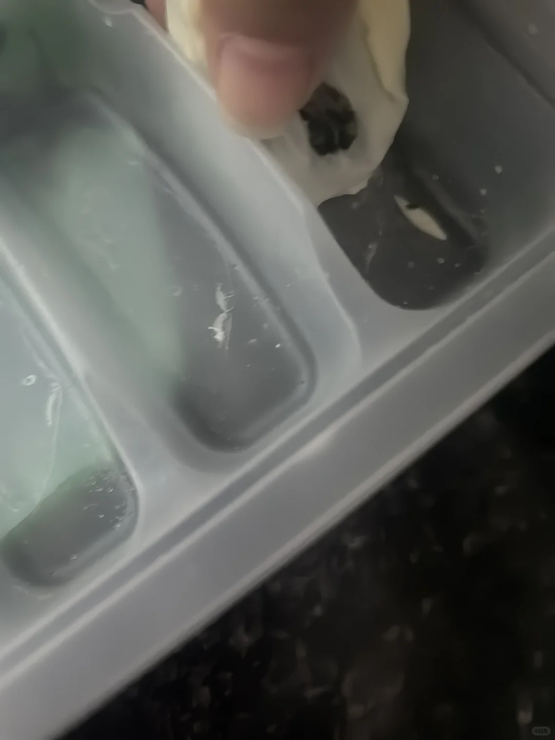 寄福建的速冻食品请注意⚠️