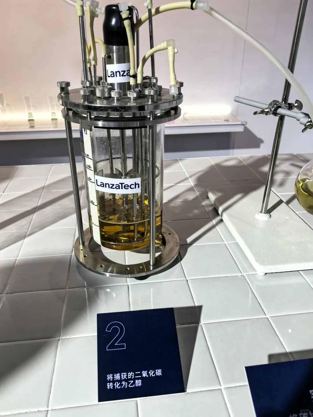 进博会 走断腿的一天