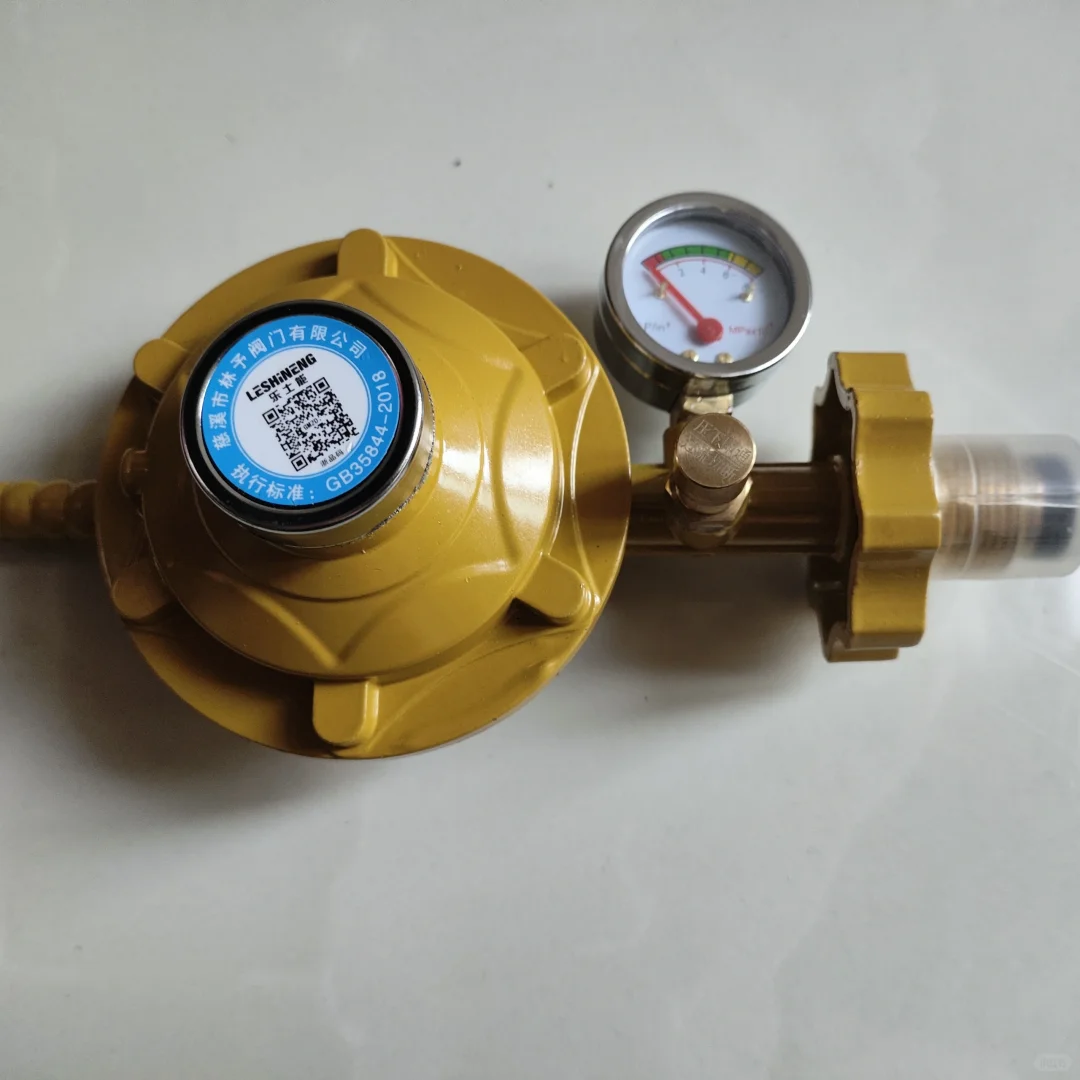 减压阀 带表0.6大流量可调节火力