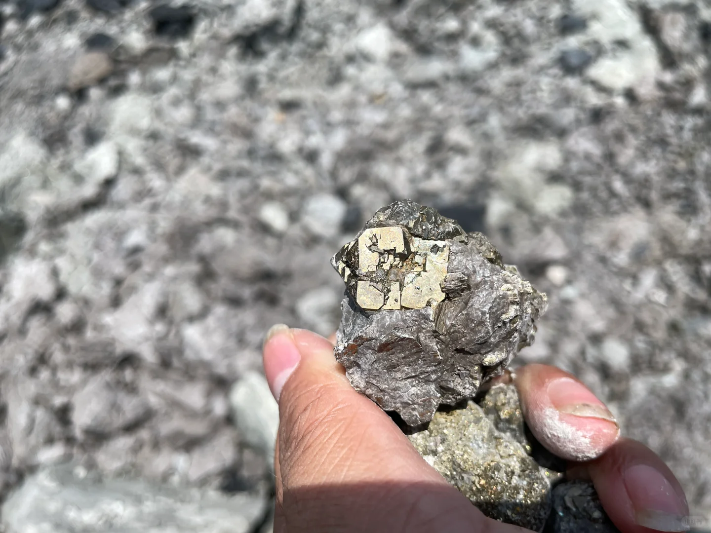 黄金矿工，采集自江苏句容灰岩里的“金疙瘩”