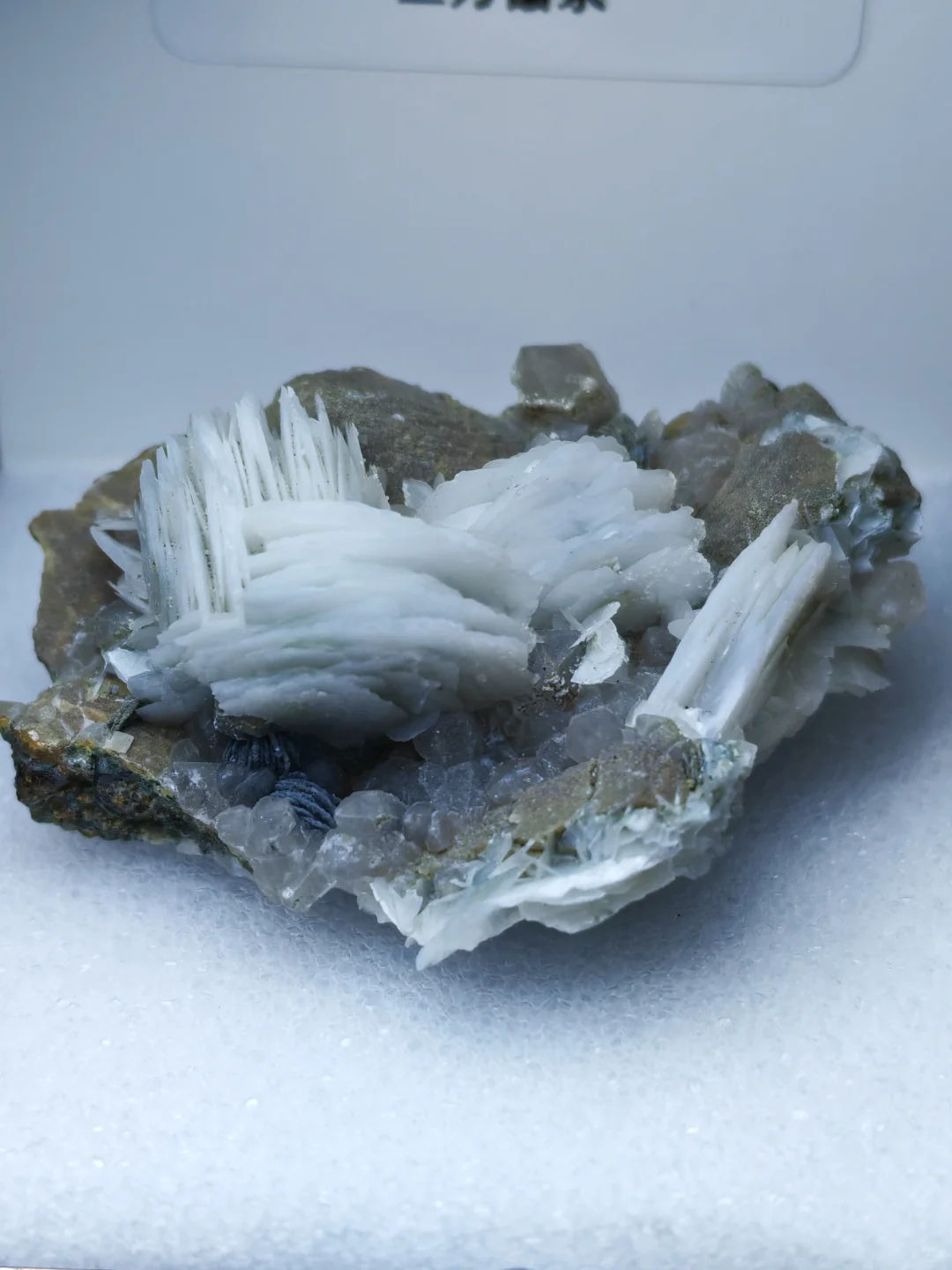 2025年矿标收藏分享⑥