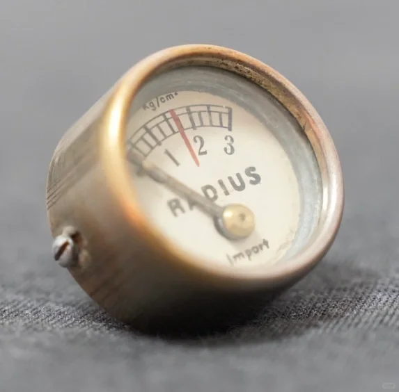 瑞典??Radius原廠壓力錶