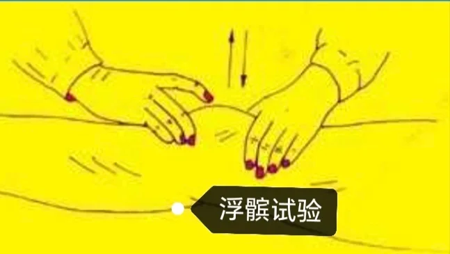 特殊检查相关试验