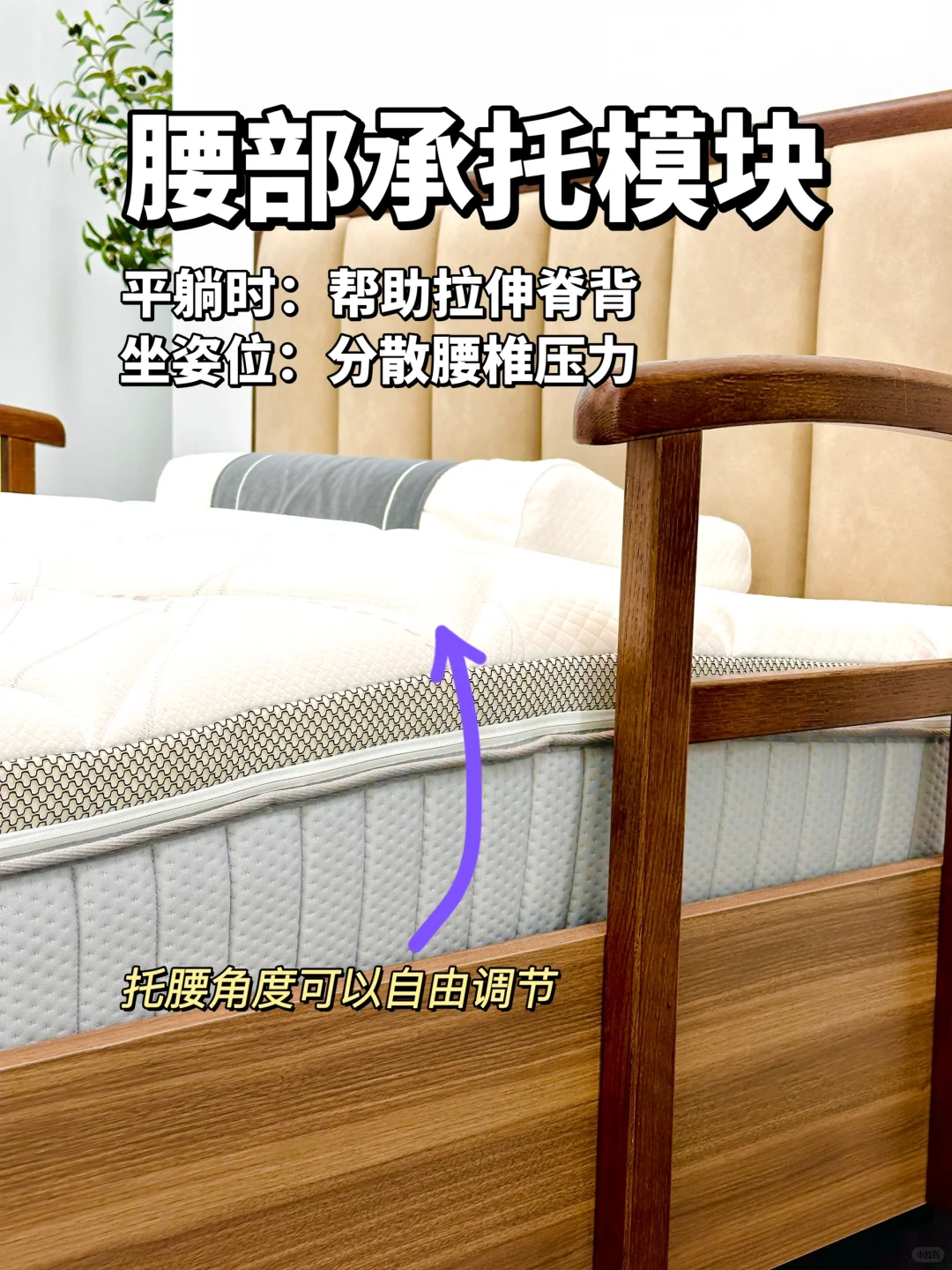 现在的老人床都这么靓?