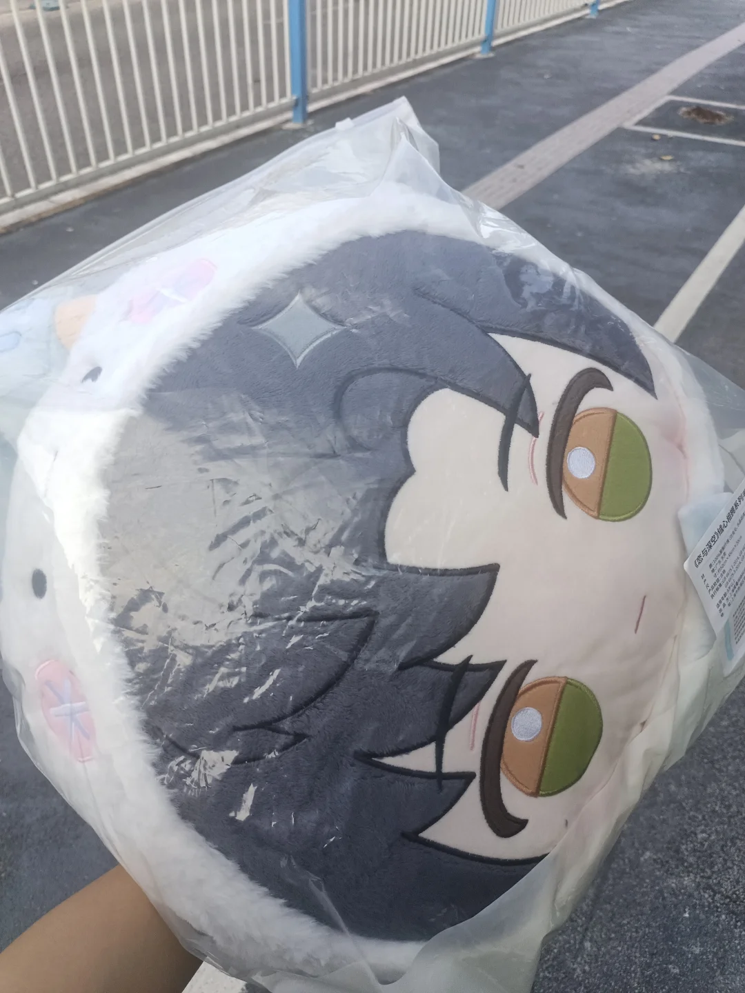 叠纸抱枕加完拉链后