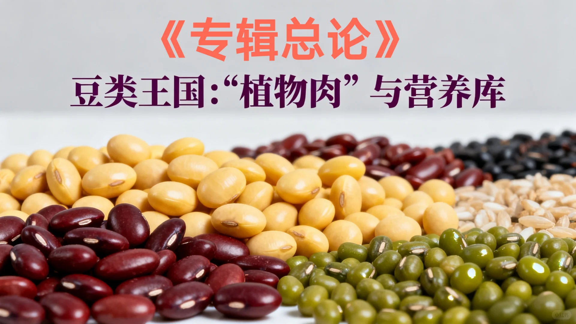 豆类王国：被低估的植物肉与营养库