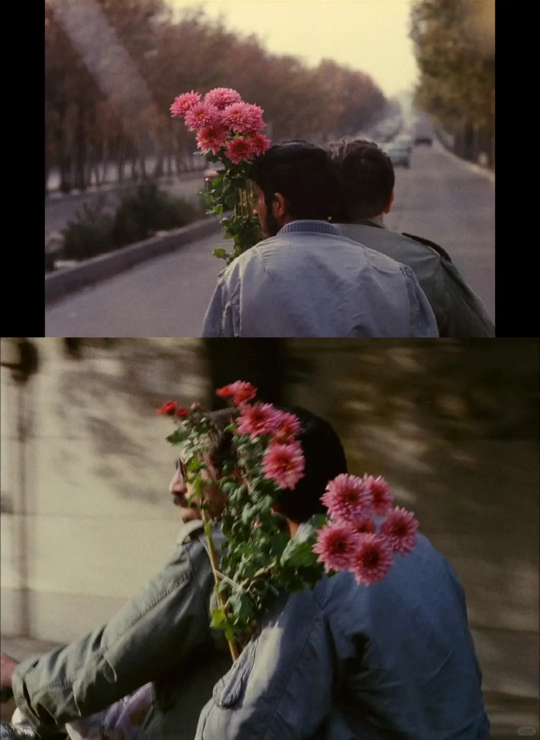 记者节点燃影像之灯!阿巴斯《特写》的温情