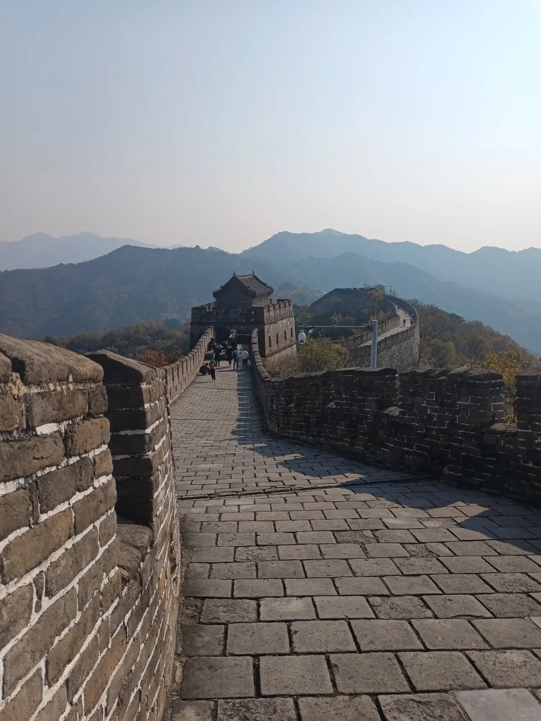 看似很强很美好的,在现实面前却脆弱、无力