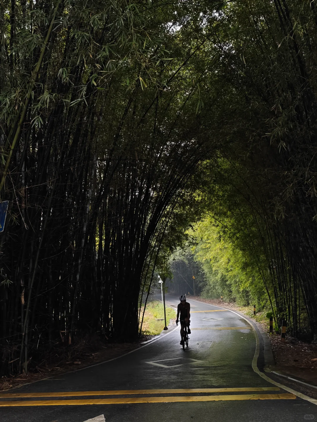 高铁接驳骑游阅丹公路
