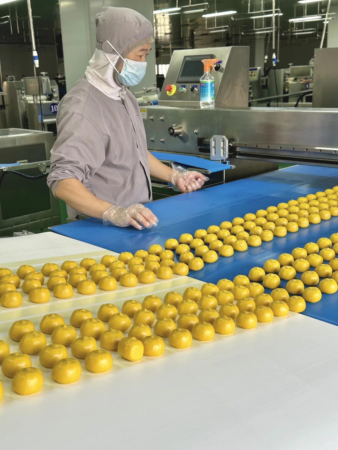 在盒马工厂找到了i人理想工作