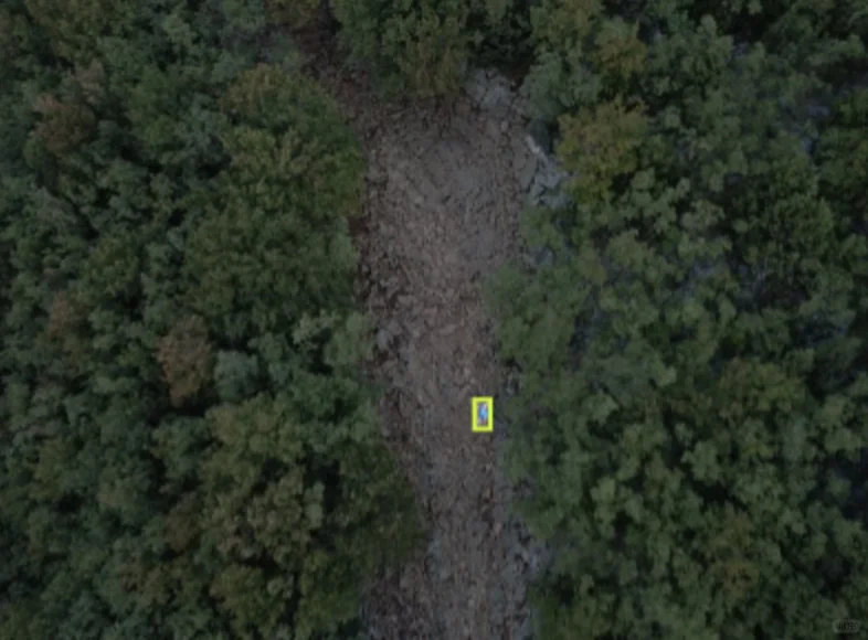 无人机巡检航拍搜救数据集 无人机人体检测