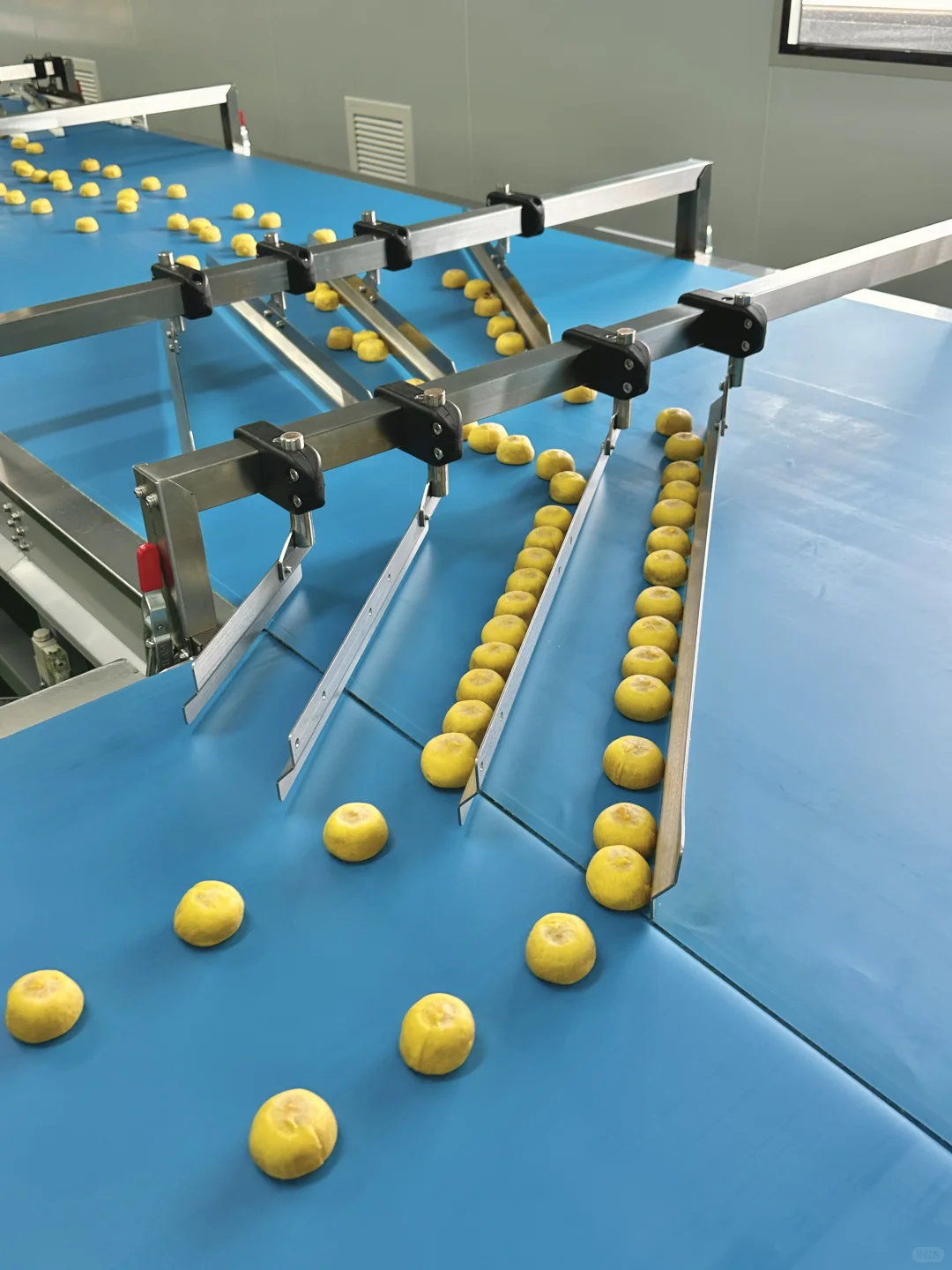 在盒马工厂找到了i人理想工作