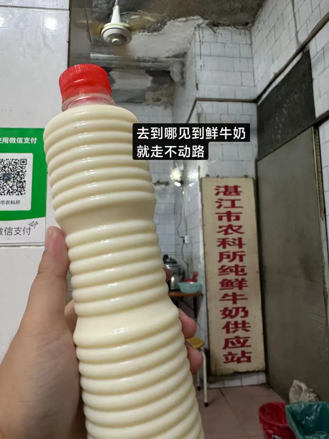 特种兵逛吃湛江的一天