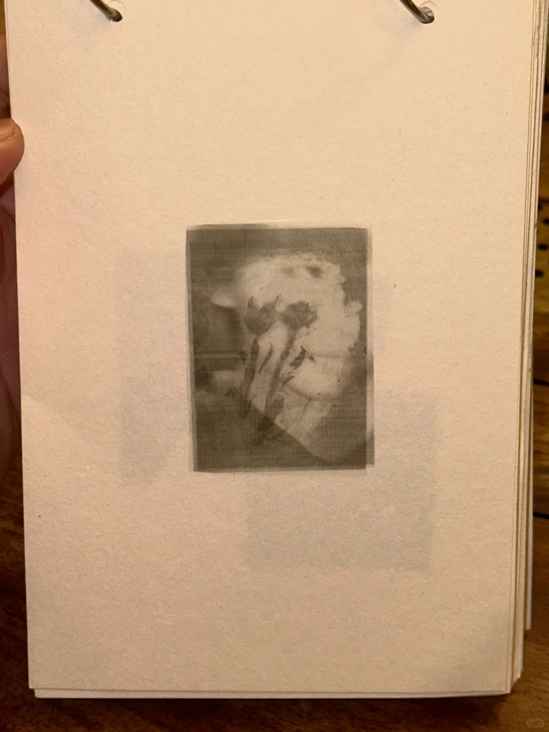 这个世界是一个巨大的咕咕机