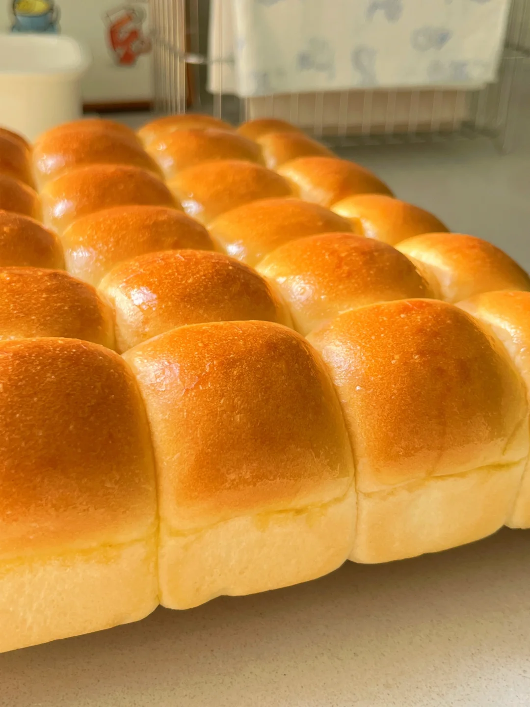 一次发酵❗️软fufu☁️黄油小面包?出炉秒光?
