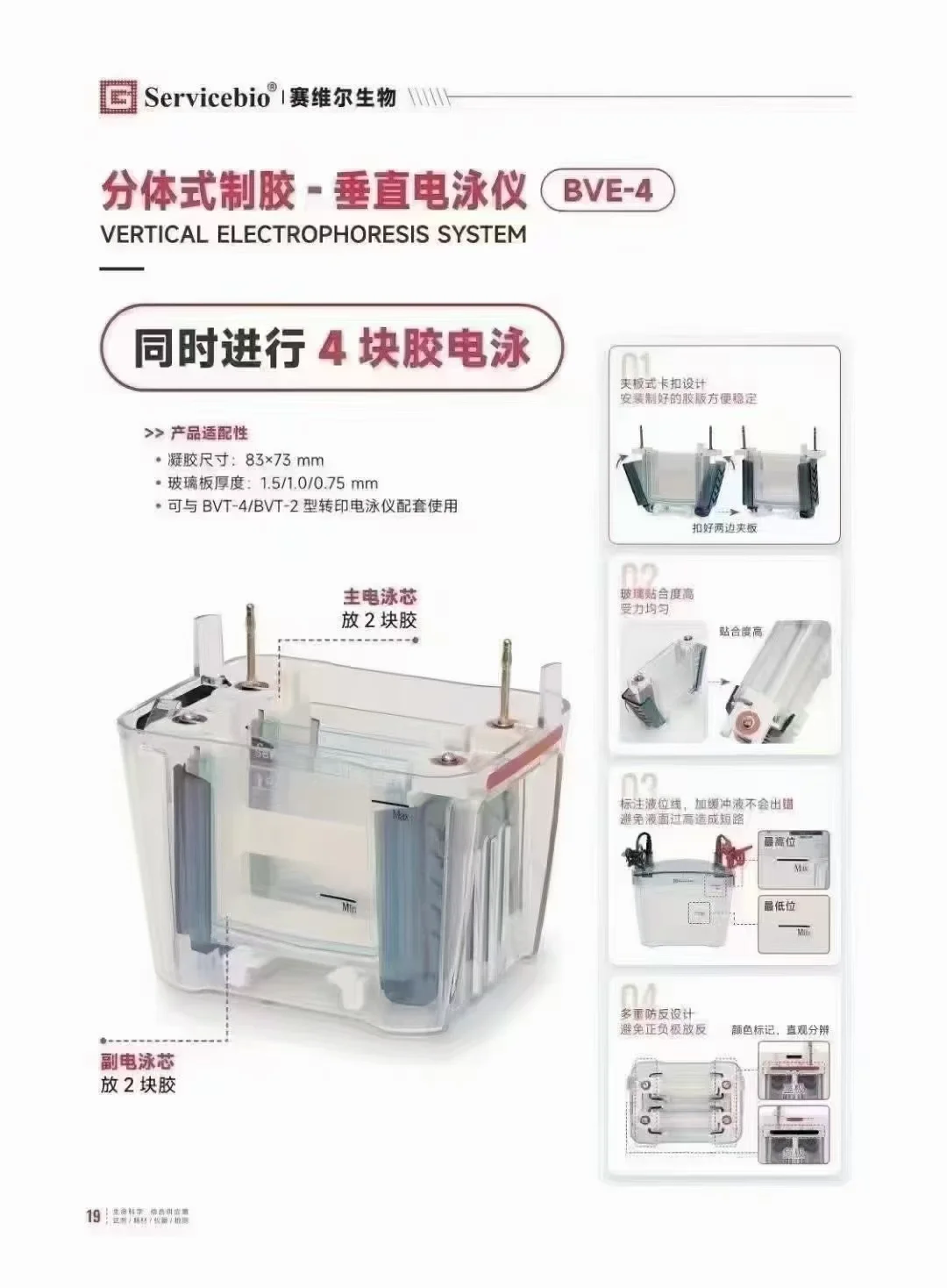 WB实验全套仪器