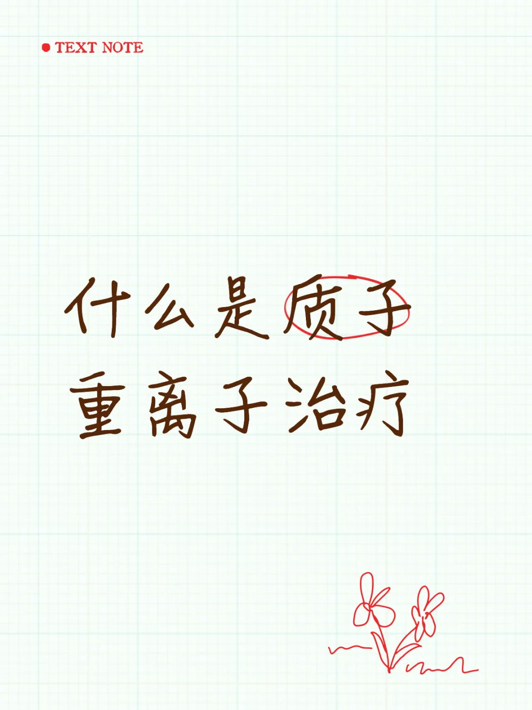 25-40万的质子和重离子治疗，它真的值吗？