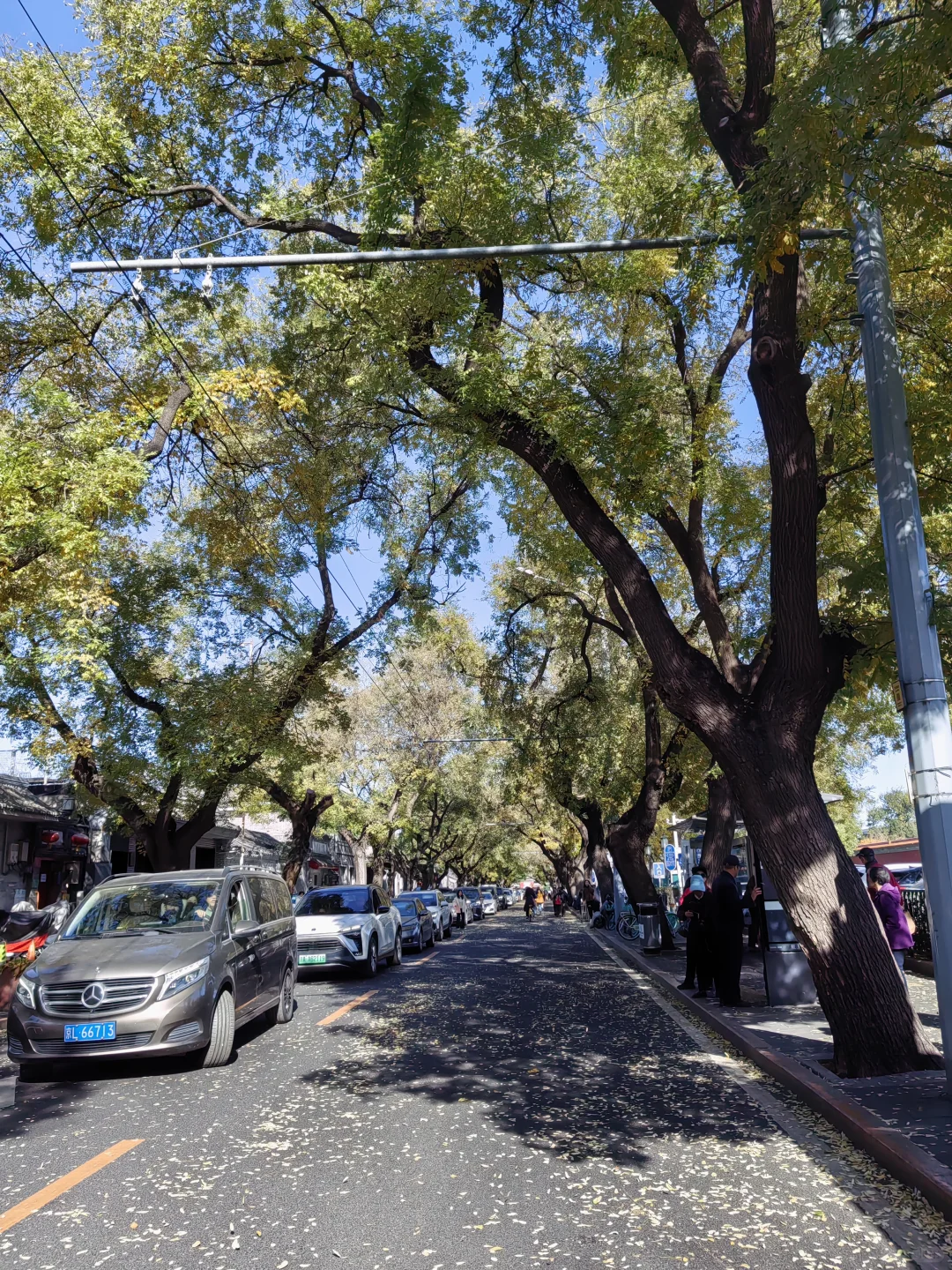 城市通勤利器,伯希和冲锋衣的体面守护