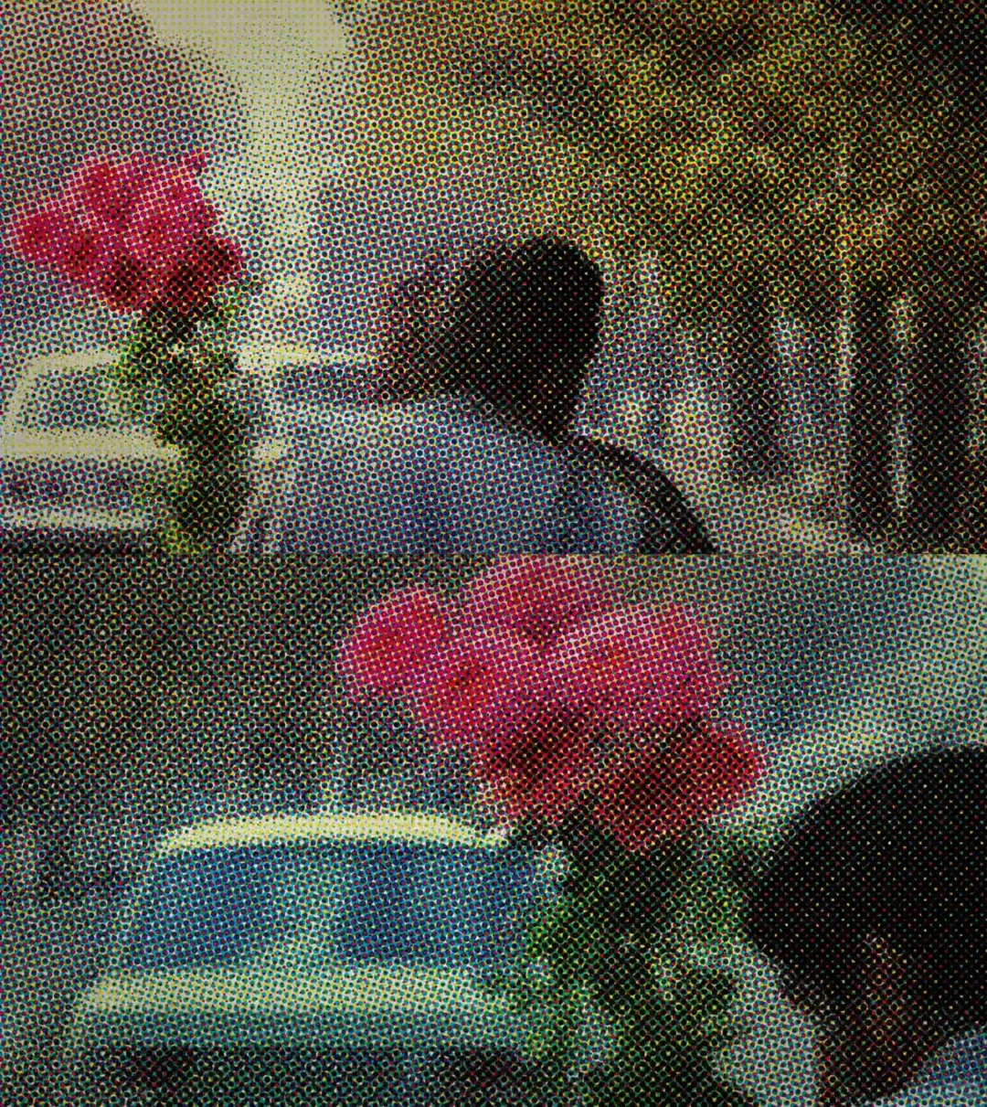 记者节点燃影像之灯!阿巴斯《特写》的温情