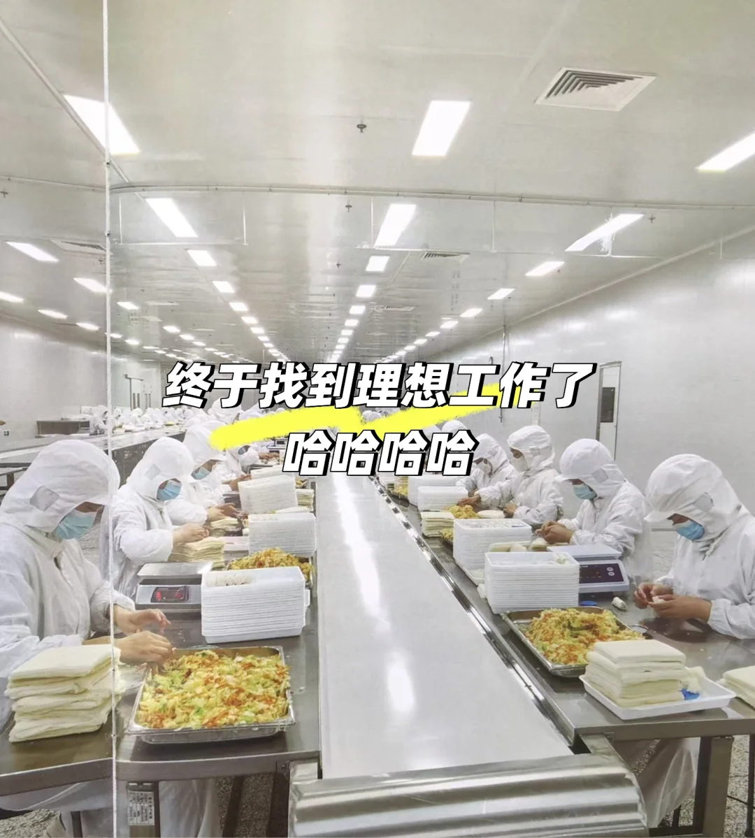 终于找到理想工作了 | 白班坐着包春卷就行