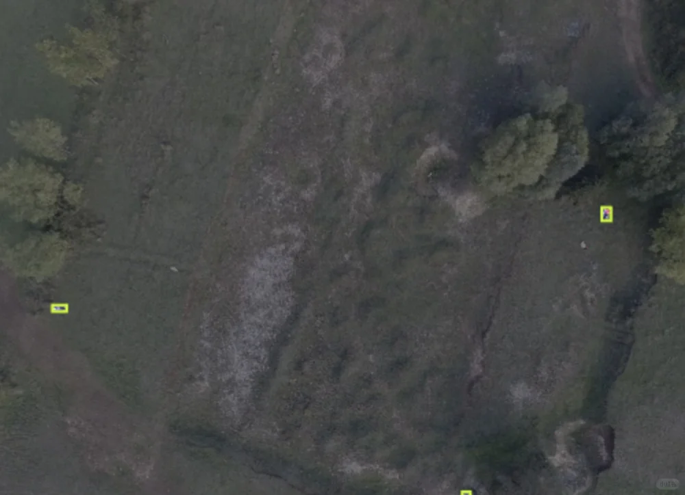 无人机巡检航拍搜救数据集 无人机人体检测