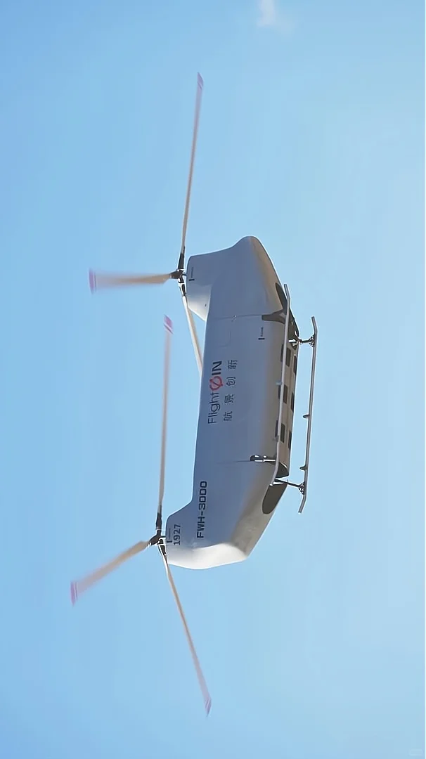 中国无人版“支奴干”