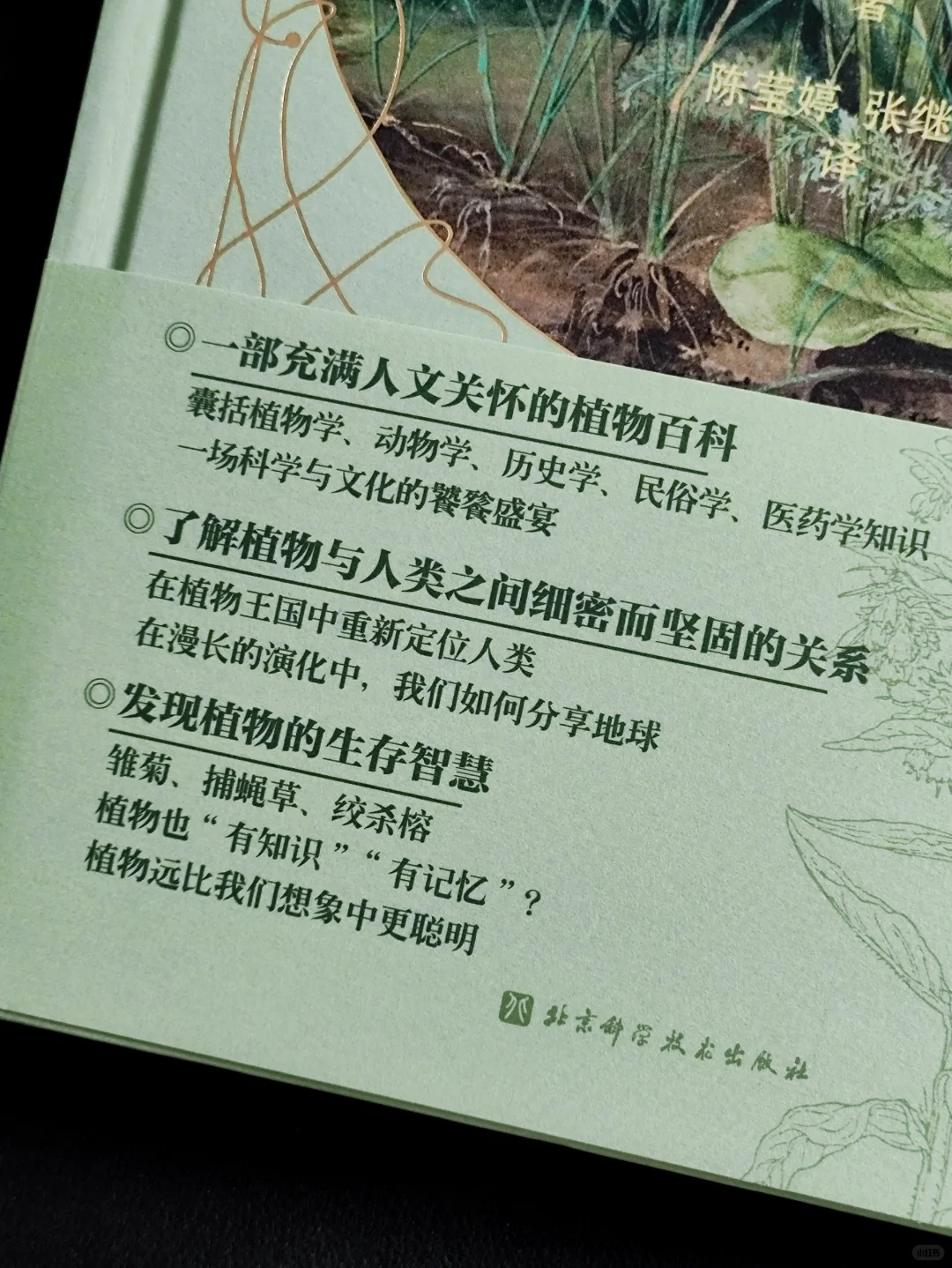 无言的陪伴:植物如何塑造人类文明❓